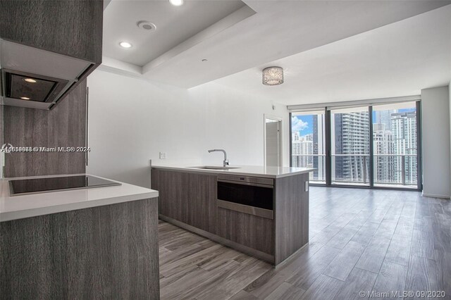 kitchen featuring black electric stovetop, wood-type flooring, sink, a center island with sink, and floor to ceiling windows