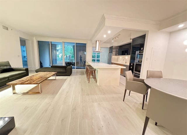 living room featuring light hardwood / wood-style floors and crown molding