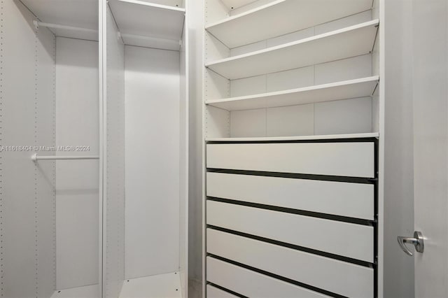 view of spacious closet