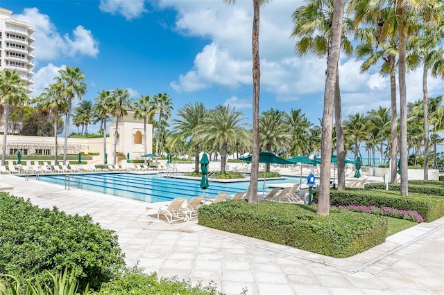 view of swimming pool featuring a patio area