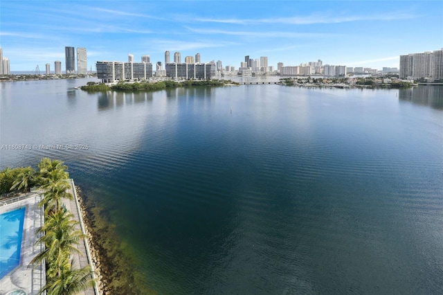 property view of water with a city view