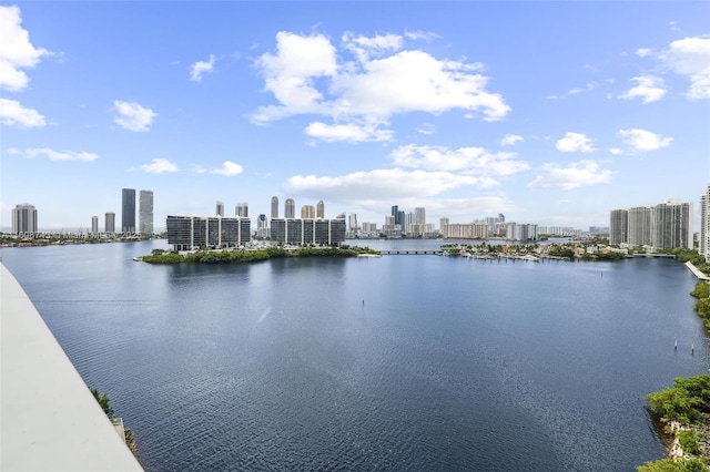 view of water feature with a city view