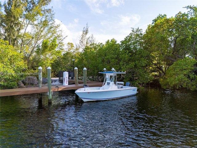 view of community with a water view and a boat dock