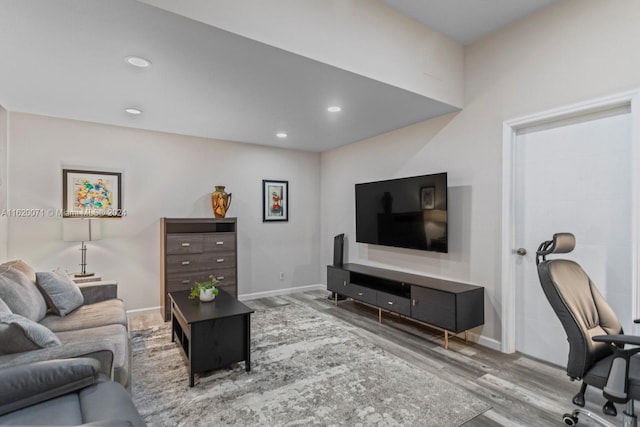 living room with wood-type flooring