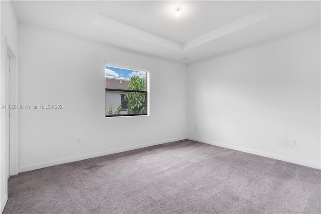 carpeted empty room with a tray ceiling