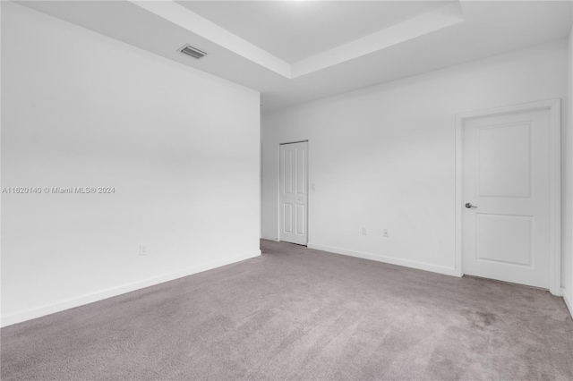 spare room featuring light carpet and a raised ceiling