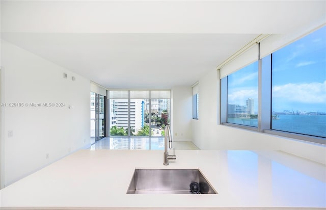 kitchen with a wall of windows and sink