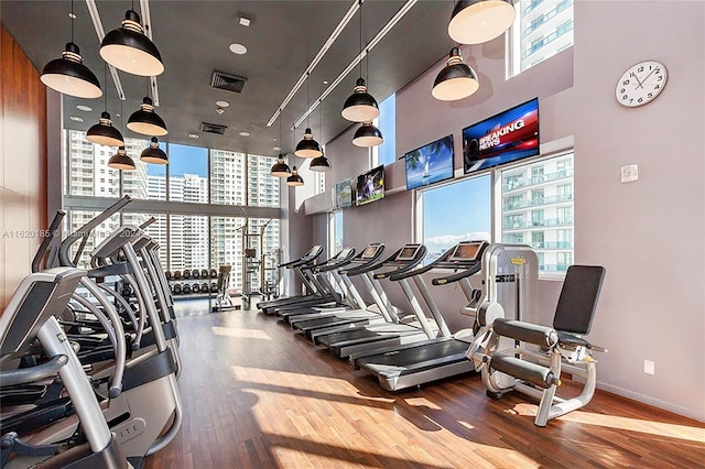 workout area featuring hardwood / wood-style flooring, floor to ceiling windows, a high ceiling, and plenty of natural light