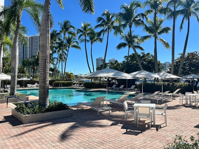 view of pool featuring a patio area