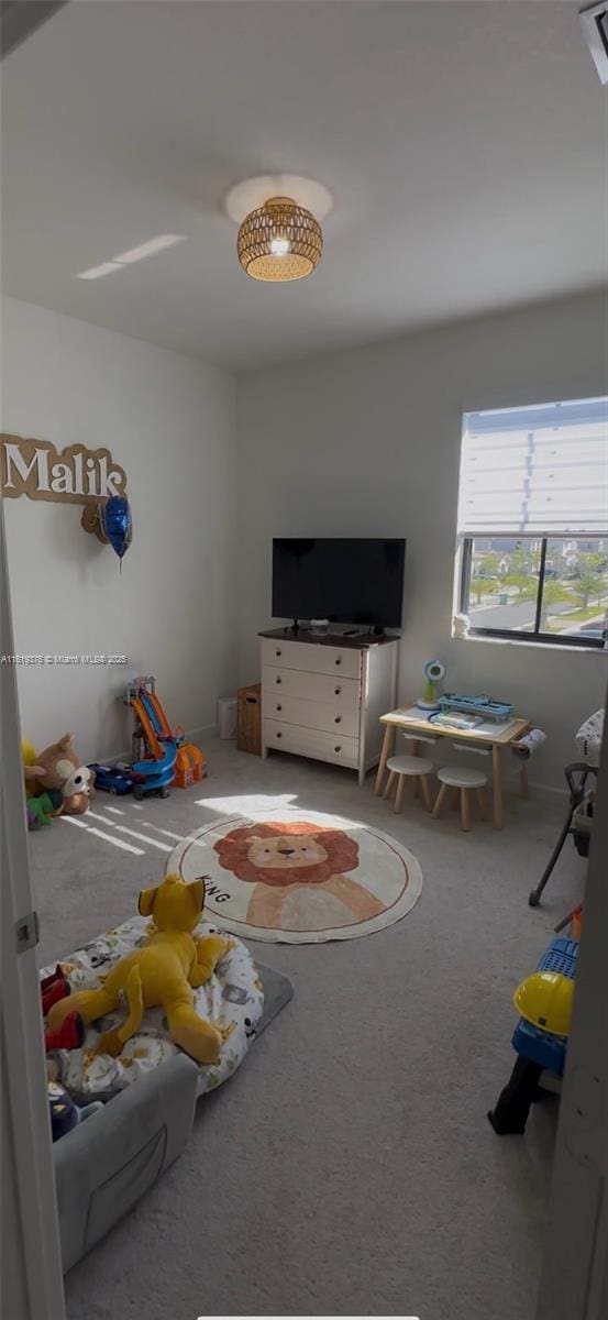 playroom featuring carpet floors