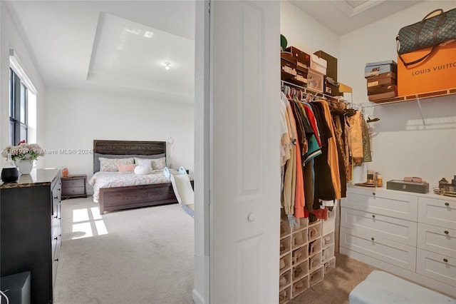 bedroom featuring a spacious closet, carpet, and a closet