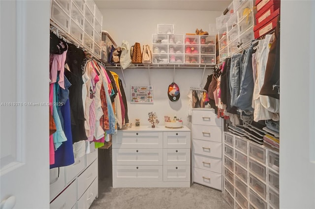 spacious closet with light carpet