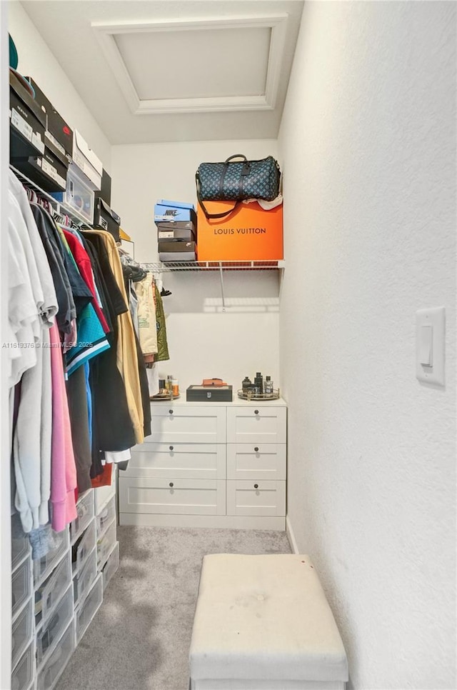 spacious closet with attic access and carpet floors