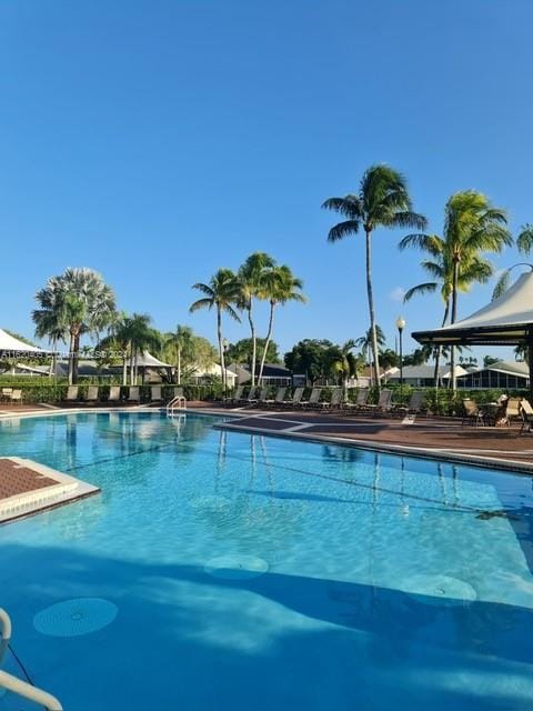 view of swimming pool