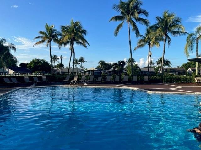 view of swimming pool