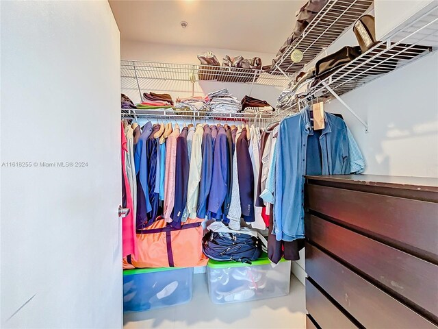 view of walk in closet