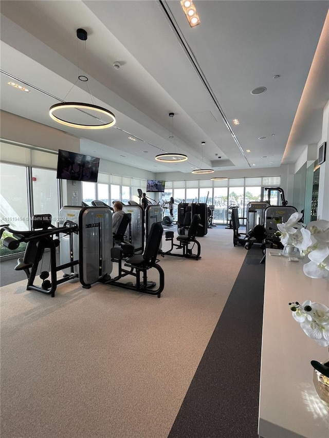 workout area with carpet floors and a wealth of natural light