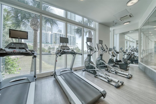 exercise room with a wealth of natural light