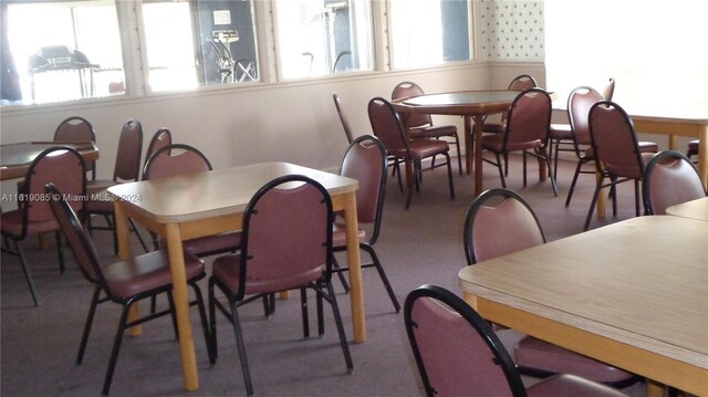 carpeted dining room with plenty of natural light