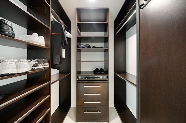 view of walk in closet