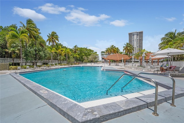 view of pool with a patio