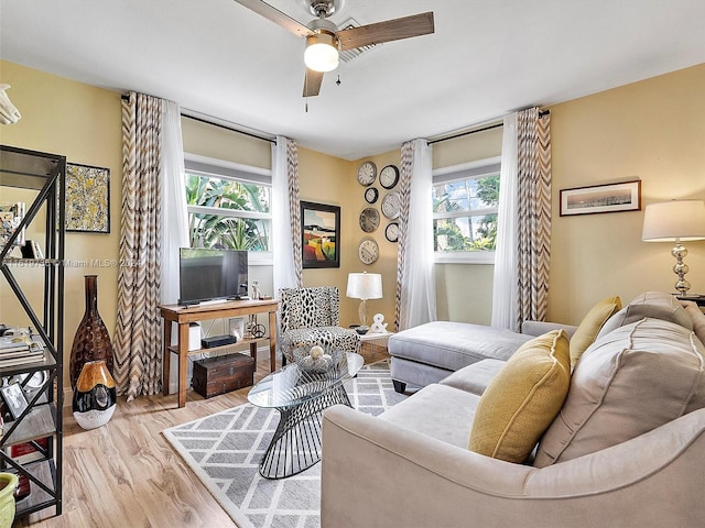 living room featuring a healthy amount of sunlight, ceiling fan, and light wood-type flooring