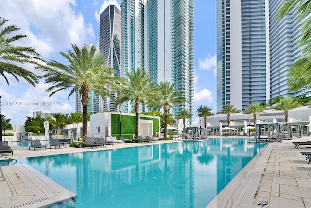 view of pool featuring a patio