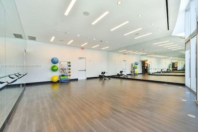 exercise room featuring hardwood / wood-style flooring