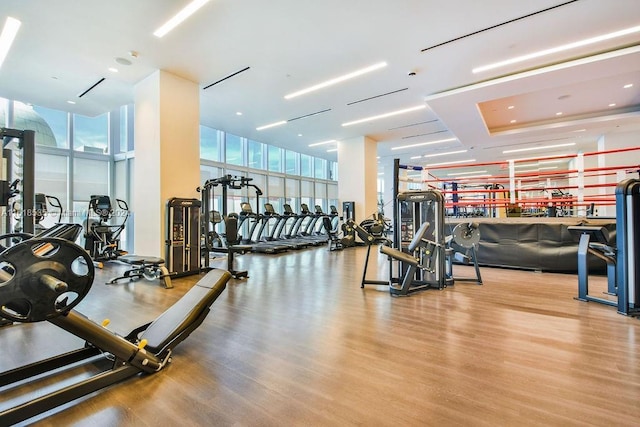 exercise room with floor to ceiling windows and hardwood / wood-style floors