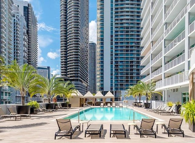 view of swimming pool with a patio