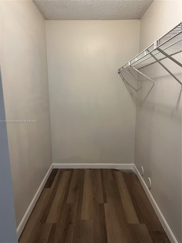 walk in closet featuring wood-type flooring