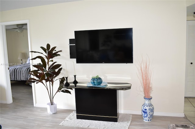 room details with wood-type flooring and ceiling fan