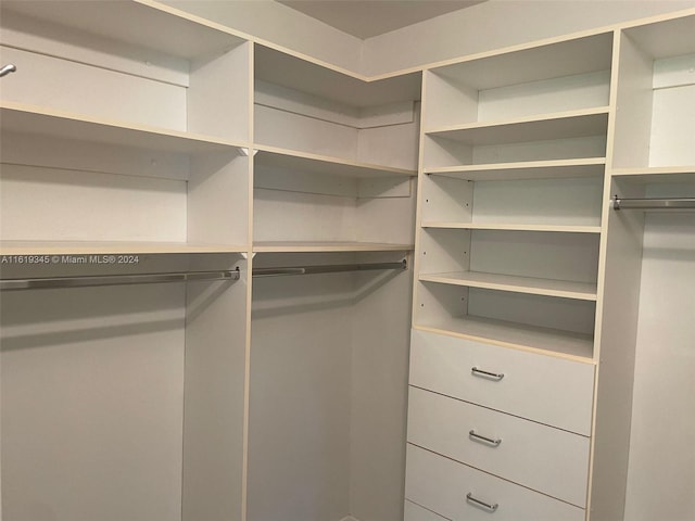 view of walk in closet