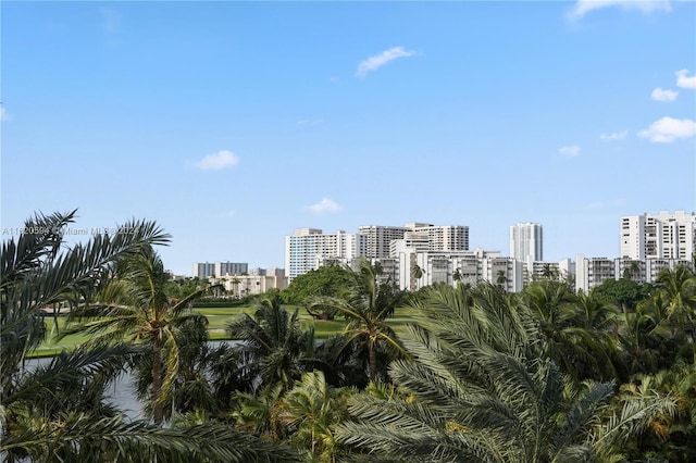 1745 E Hallandale Beach Blvd Unit 303W, Hallandale Beach, FL 33009 - city view