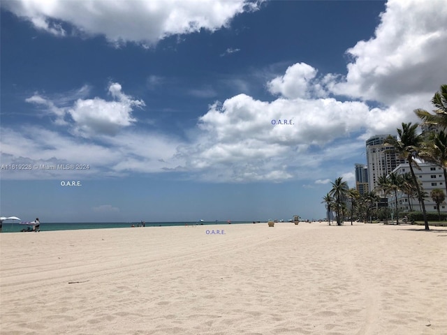 water view featuring a beach view