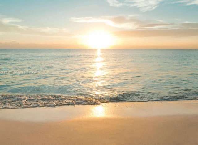 water view featuring a beach view