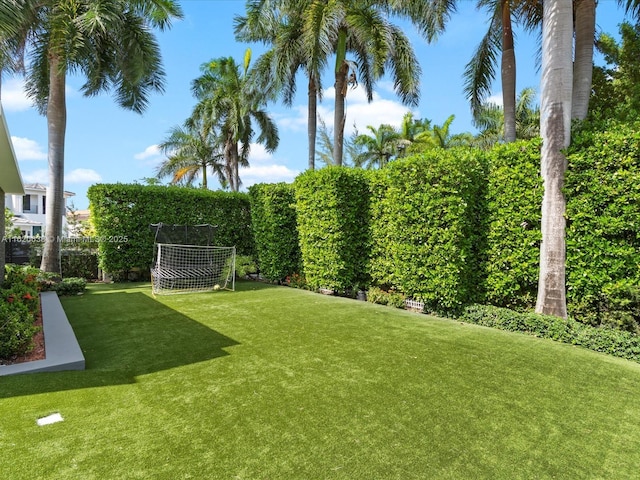 view of yard featuring fence