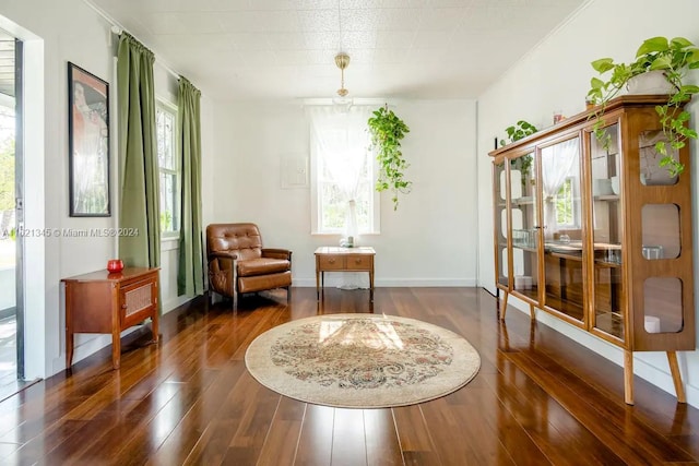 sitting room with dark wood-type flooring