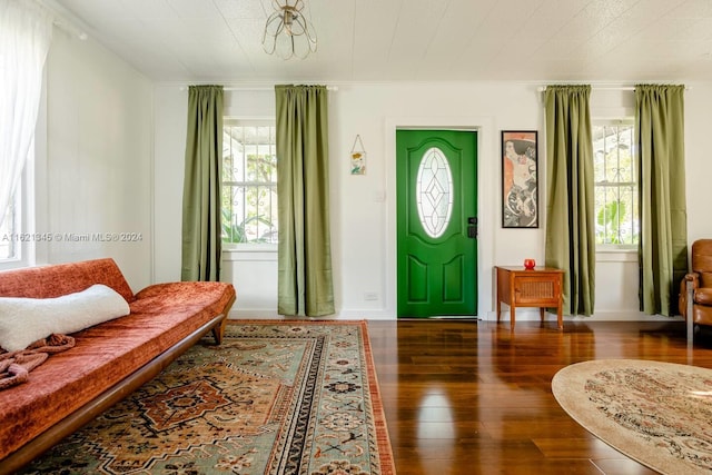 foyer featuring dark wood-type flooring and plenty of natural light