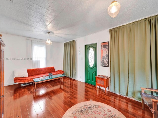 entrance foyer with dark wood-type flooring