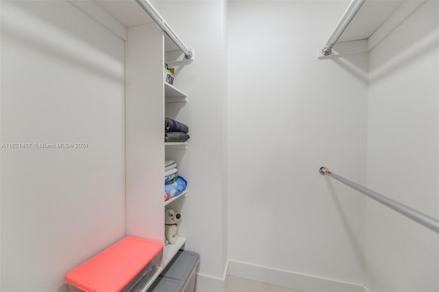 view of walk in closet