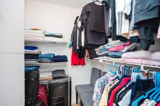 view of walk in closet