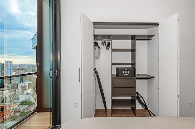 interior space with a closet and wood-type flooring