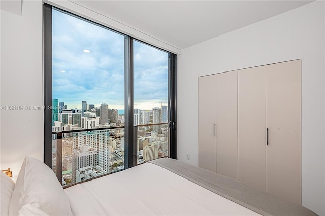 bedroom with expansive windows and a closet