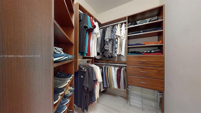 view of spacious closet