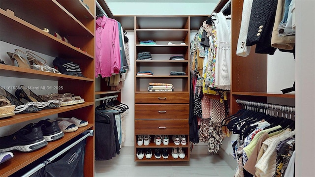 view of walk in closet