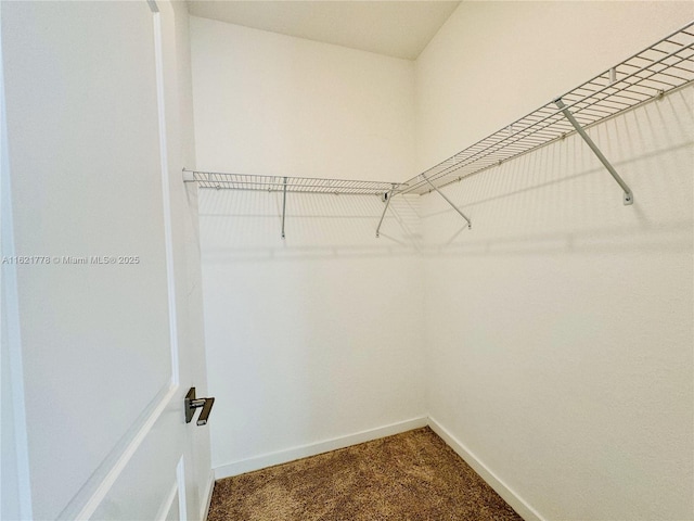 1727 SE 8th Pl Unit 1727, Homestead, FL 33034 - walk in closet featuring dark colored carpet