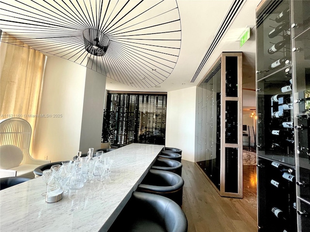 wine area featuring hardwood / wood-style floors