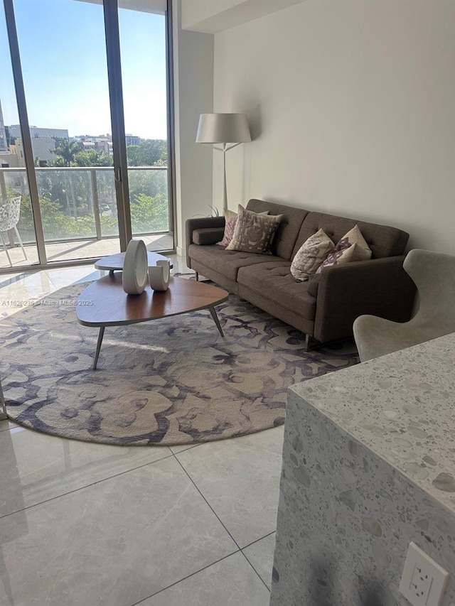 2678 Tigertail Ave Unit 515, Miami, FL 33133 - view of living room