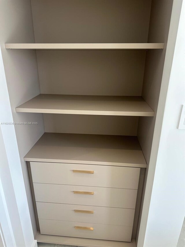 2678 Tigertail Ave Unit 515, Miami, FL 33133 - view of closet